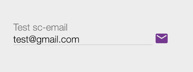 sc-email-field-Example-1-Image-2