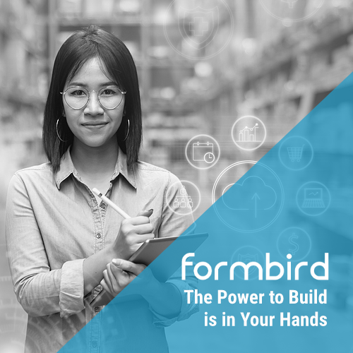 The Scalable Low Code Development Platform Formbird